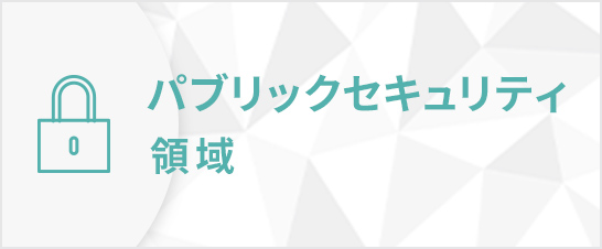パブリックセキュリティ領域