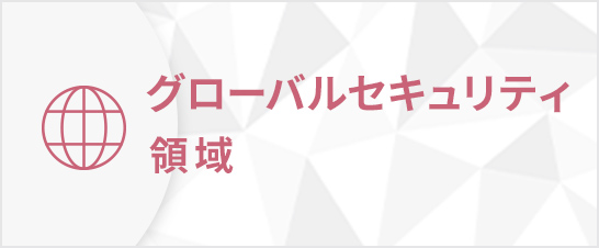グローバルセキュリティ領域