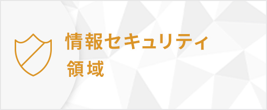 情報セキュリティ領域