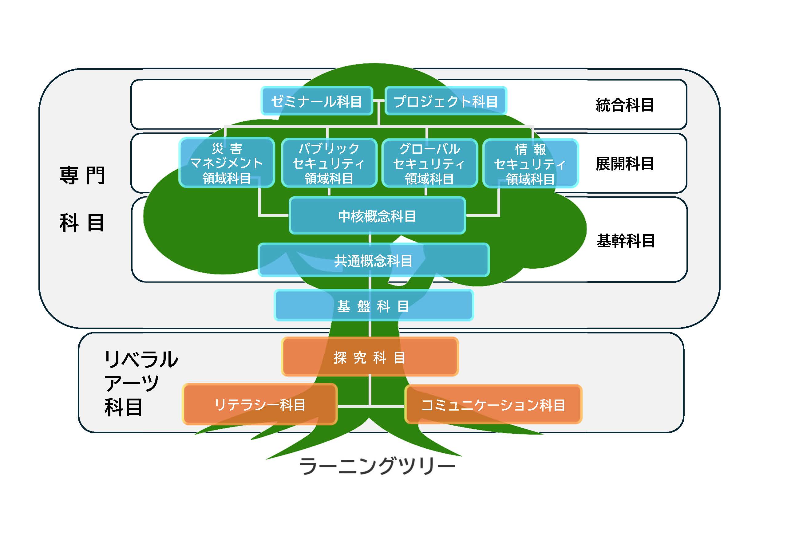 新カリキュラムの概念図
